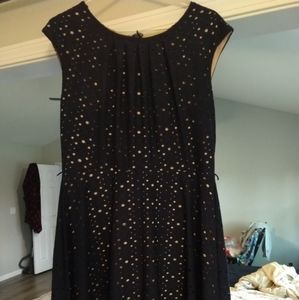 Navy eyelit and nude Dress Barn knee length dress